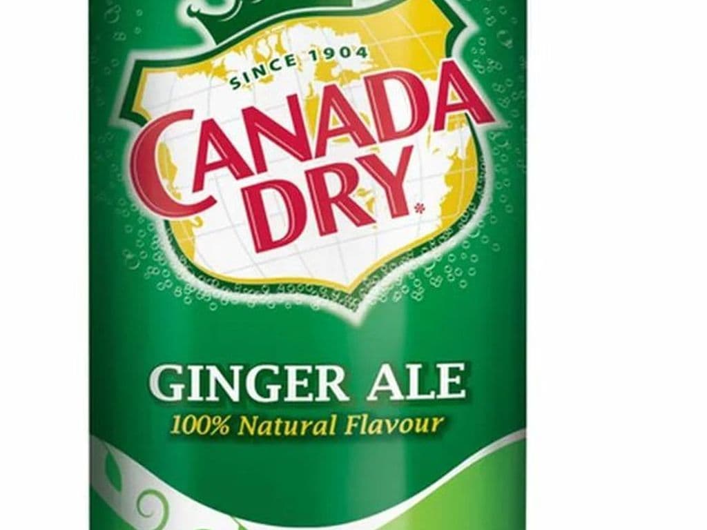 Ginger Ale Can 355ml
