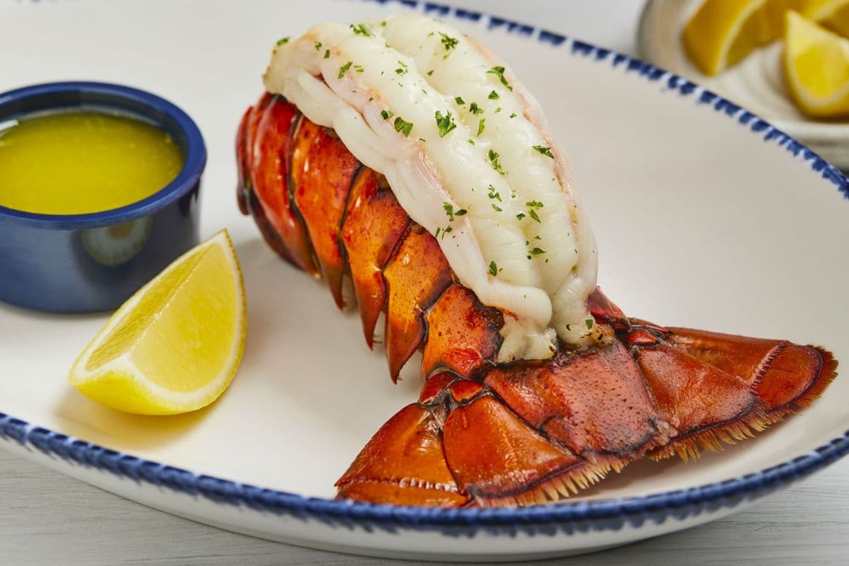 Classic Maritime Lobster Tail