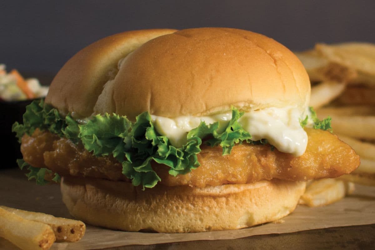 WB Haddock Combo