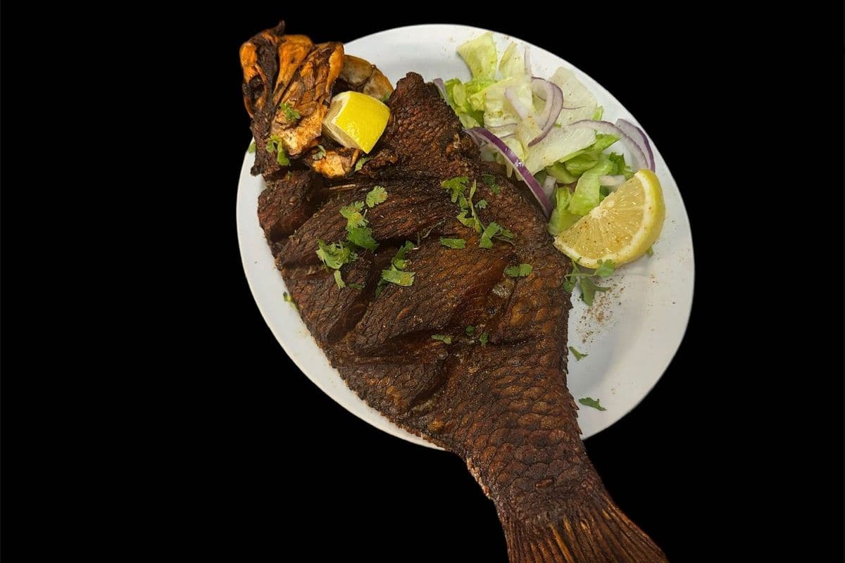 Petit poisson / Small Fish
