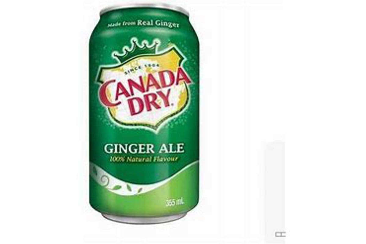 Canada dry Can (200 ml)