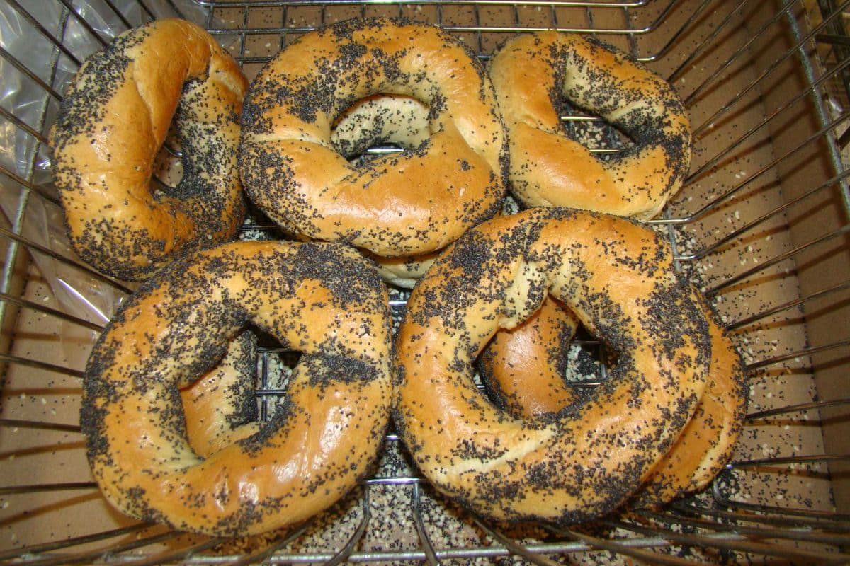 St. Viateur bagel aux graines de pavot / St. Viateur poppy seed bagel