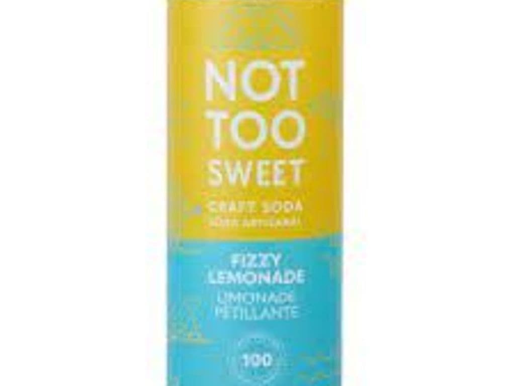 Not Too Sweet Fizzy Lemonade