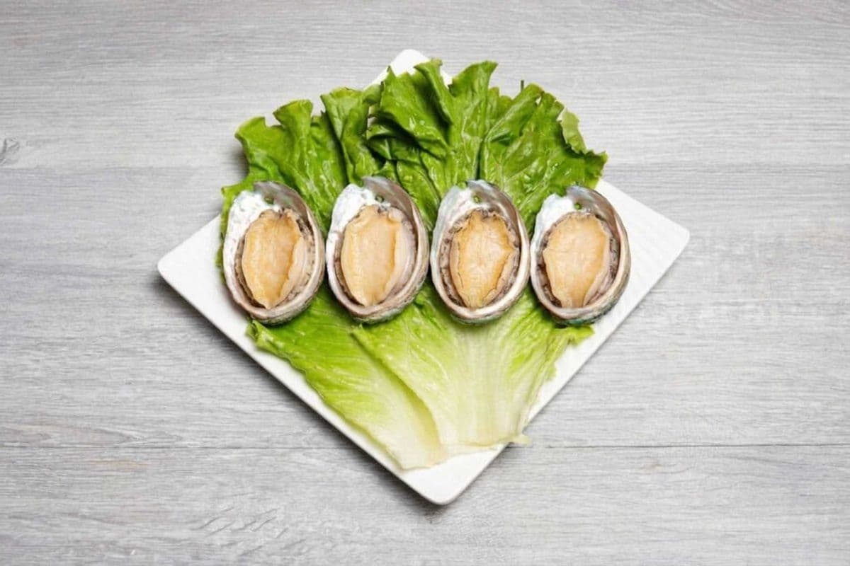 Abalone / 澳洲鮑魚 (1 pc)