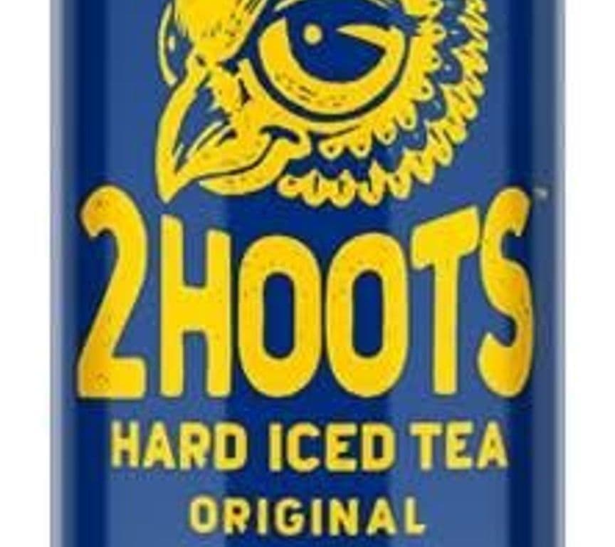 2 HOOTS Iced Tea Single Can, 473ml