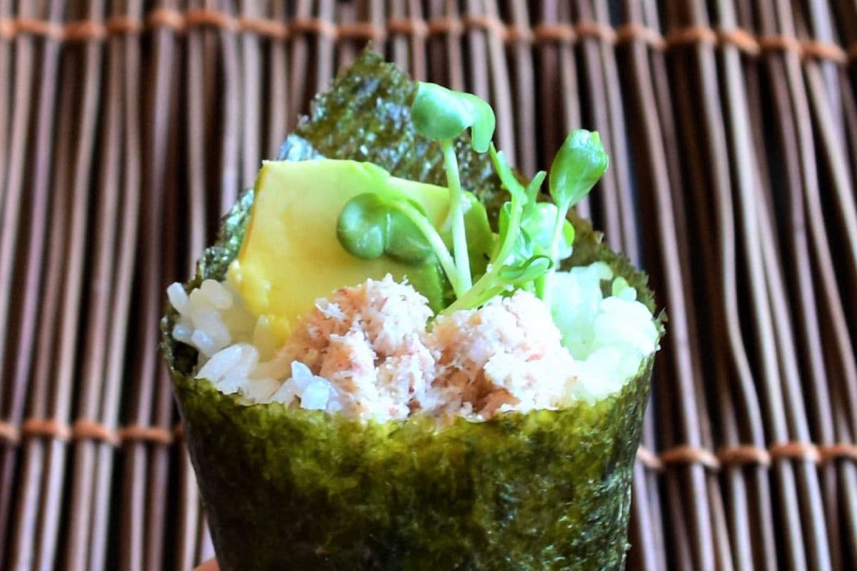 California Cone