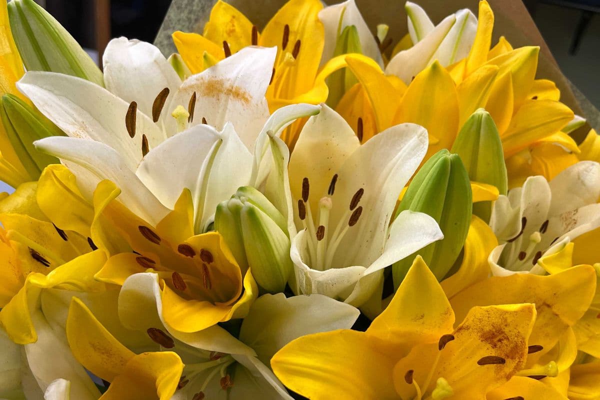 lily bouquet large