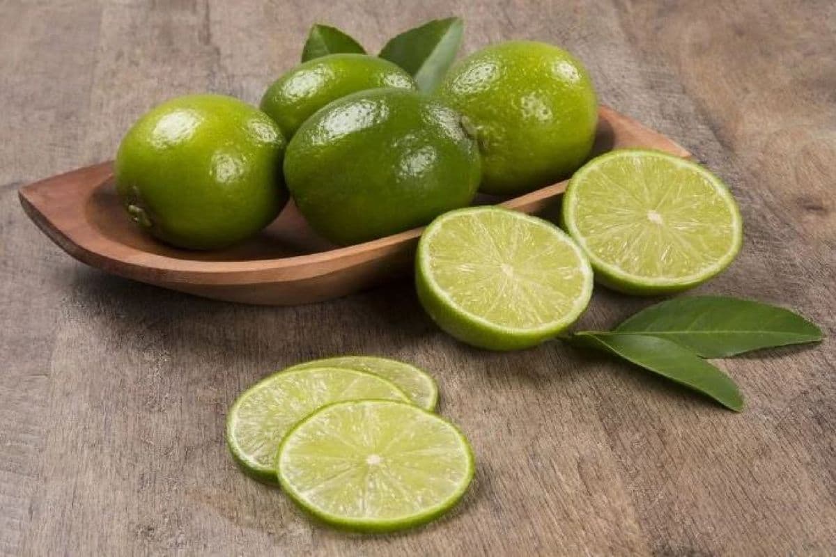 Bayside Full Lime