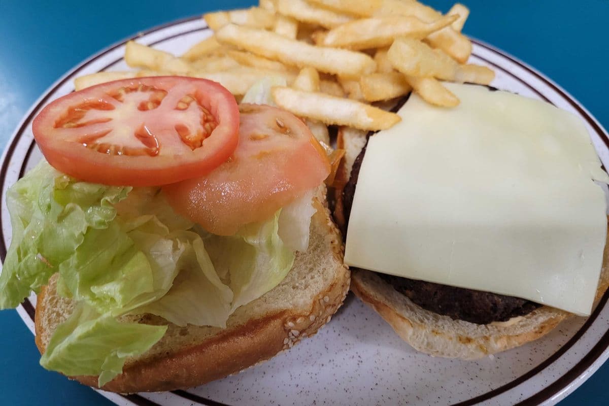 Bison Burger
