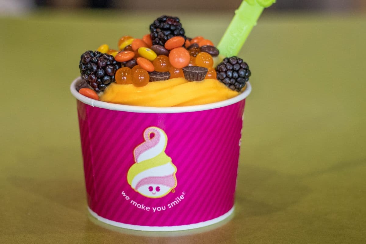 Frozen Yogurt (Medium)