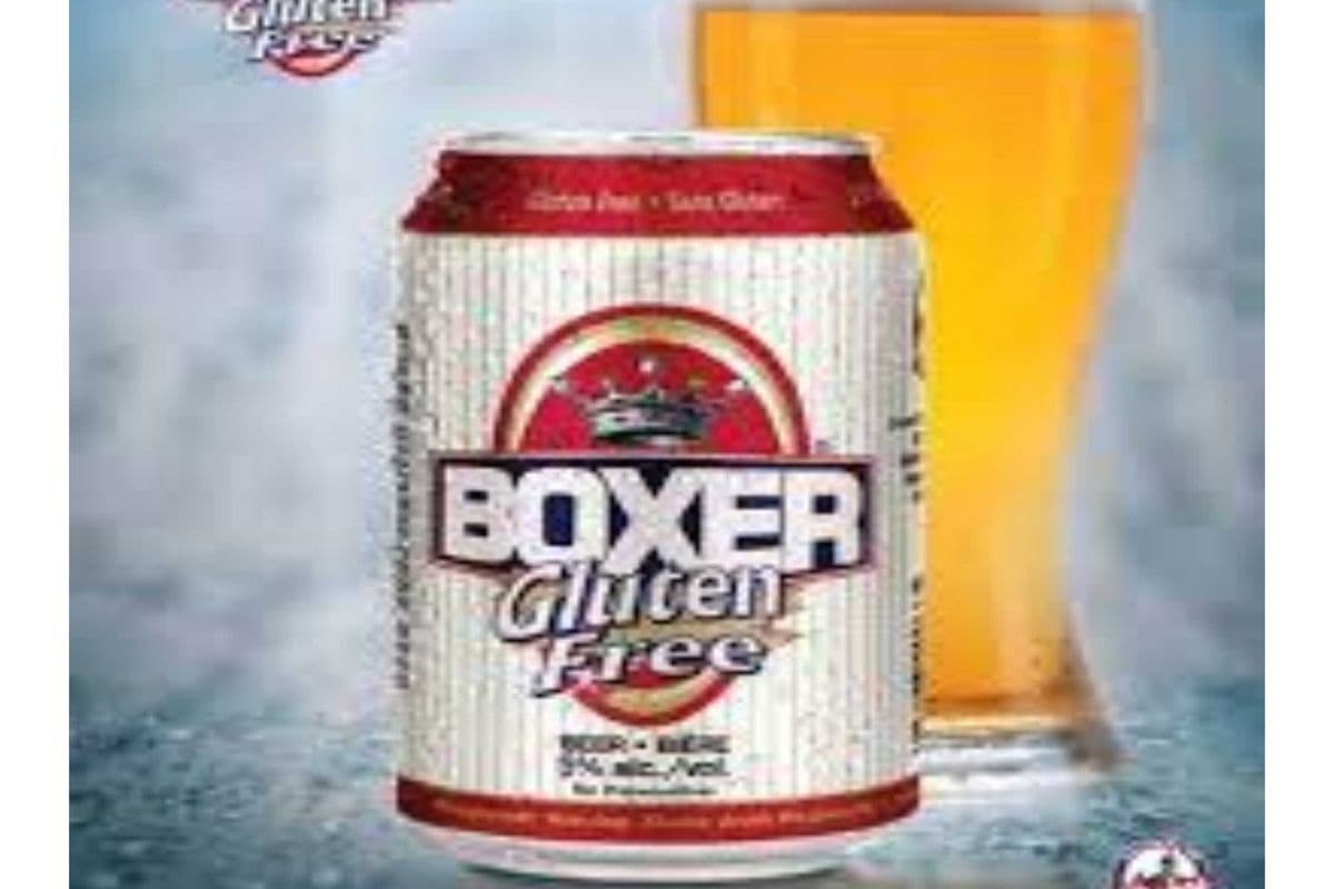 BOXER GLUTEN FREE BEER- 6 PACK (6 x 6*355ML )