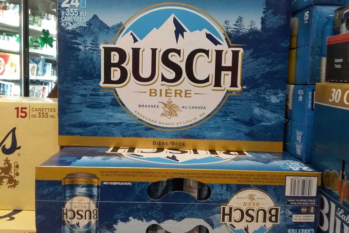 Busch Lager 24 cans (24 x 355 ml)
