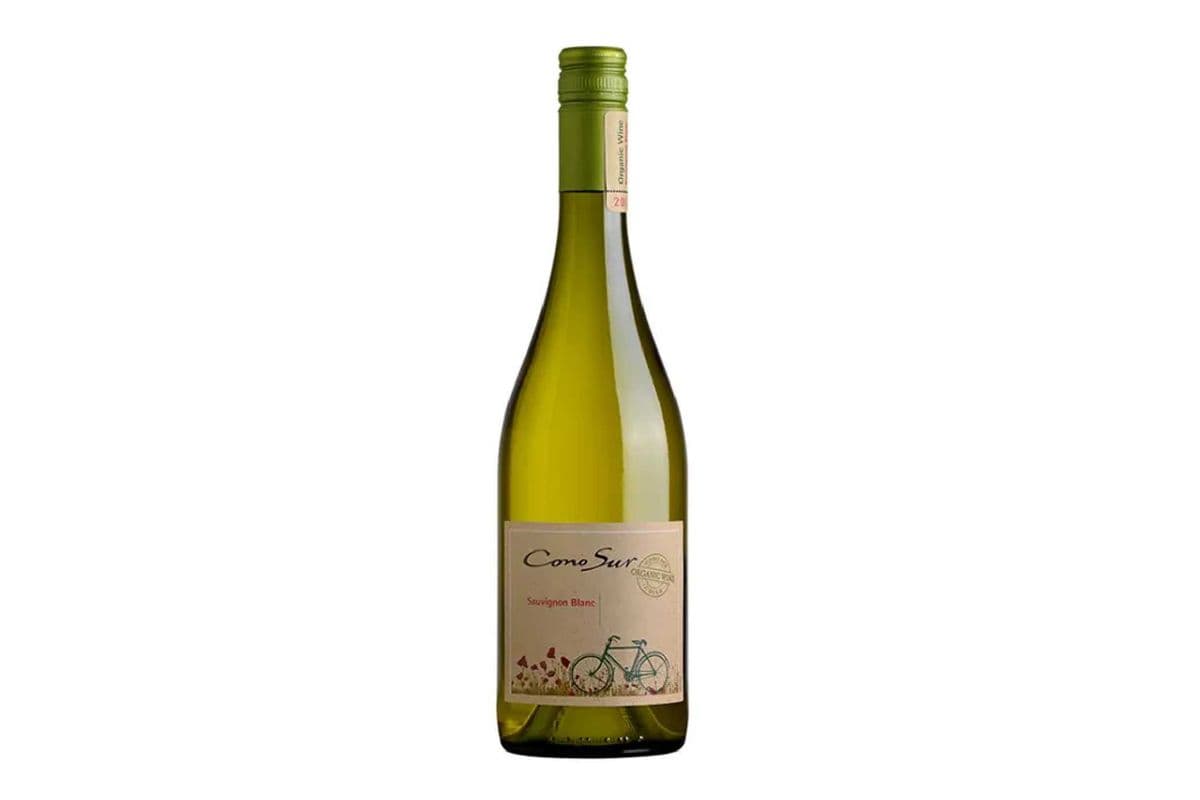Cono Sur Organic Sauvignon Blanc - Chile (1 x 750 ml)