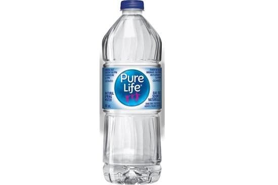 Pure Life Spring Water (591 ml) 1002523