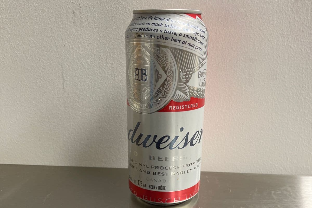 Budweiser tall can (1 x 473ml)