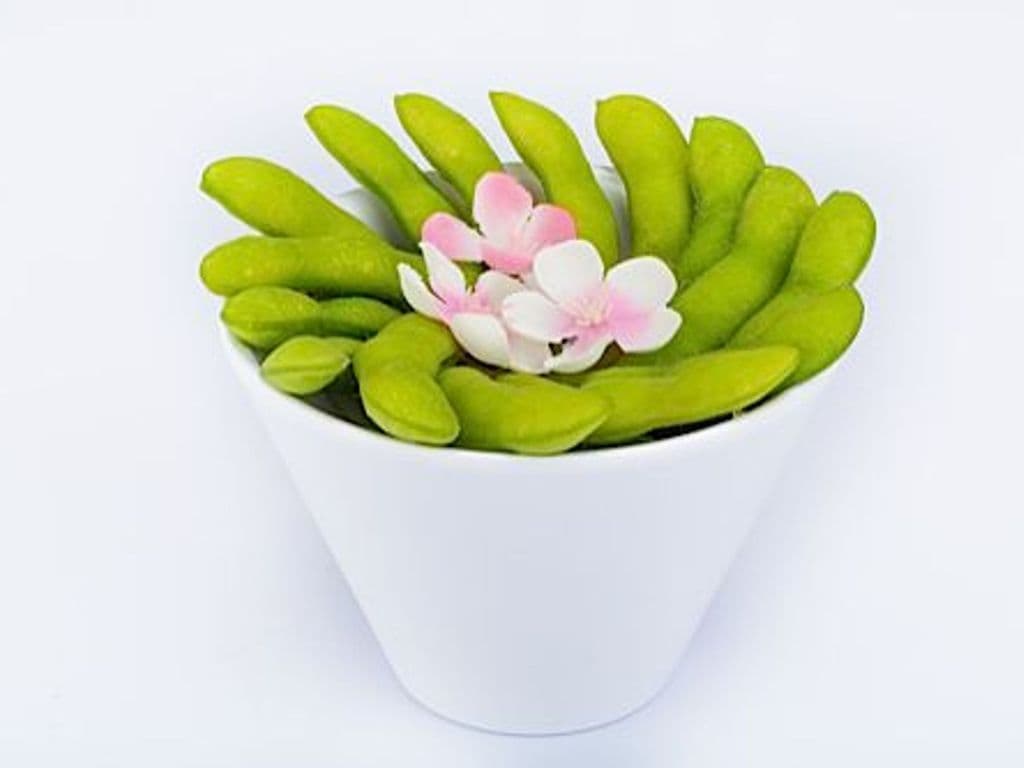 Edamame