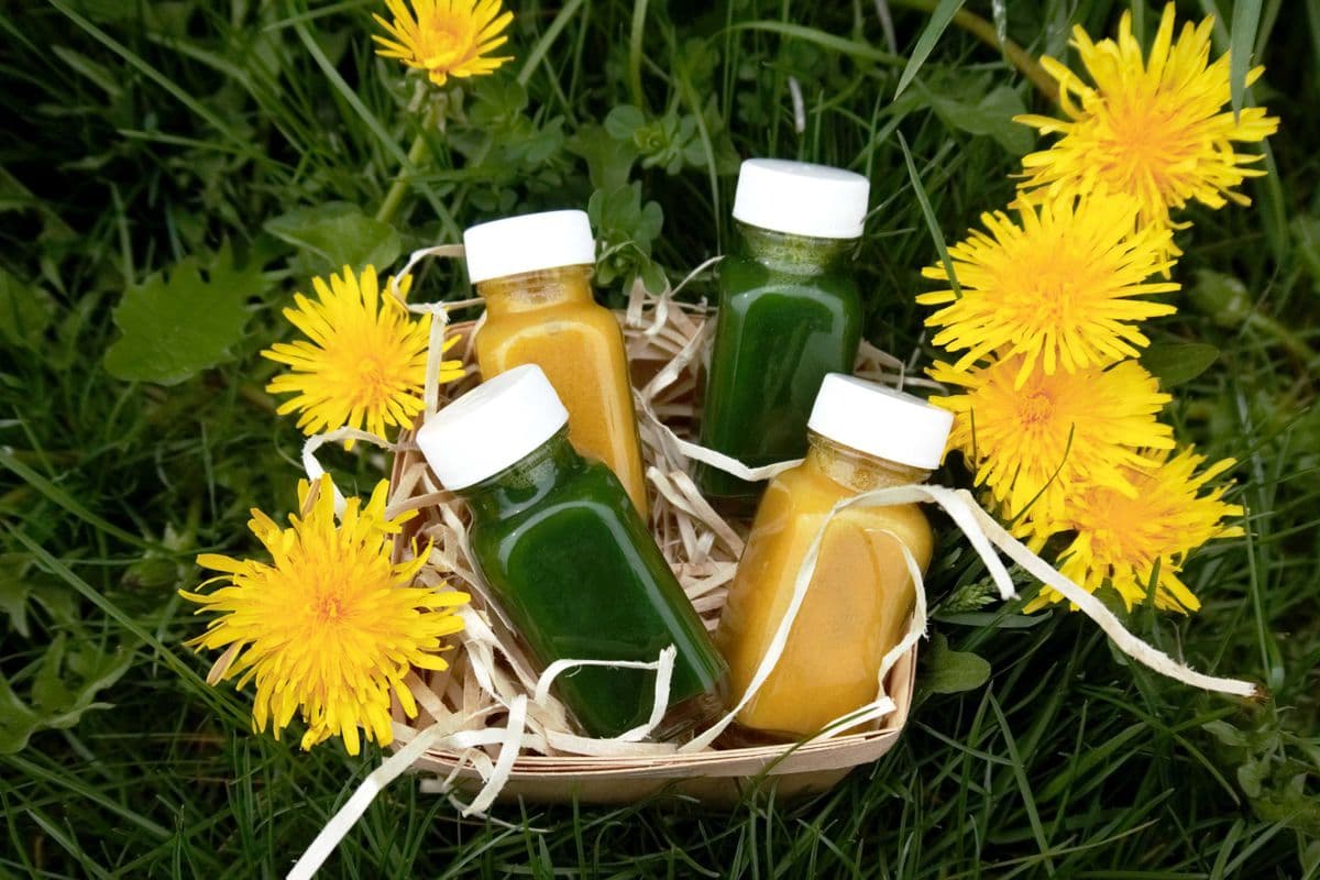 4 Pack Shots Sampler (4x 1oz each)