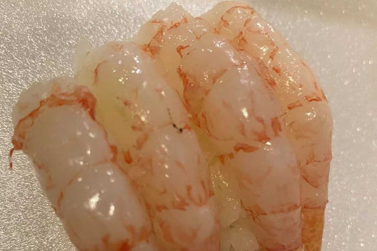 Sweet Shrimp (Amaebi) Nigiri