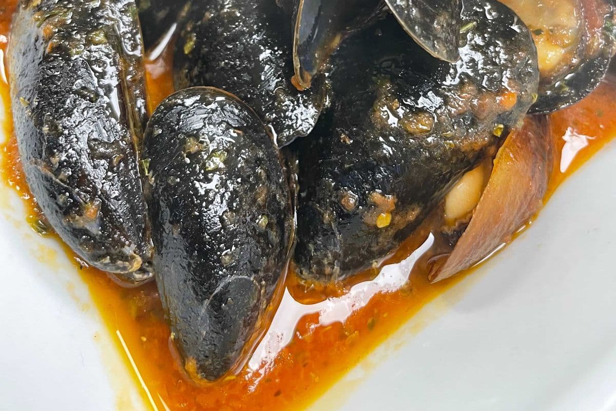 Mussels