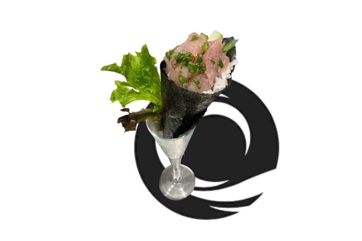 Negi Toro Cone