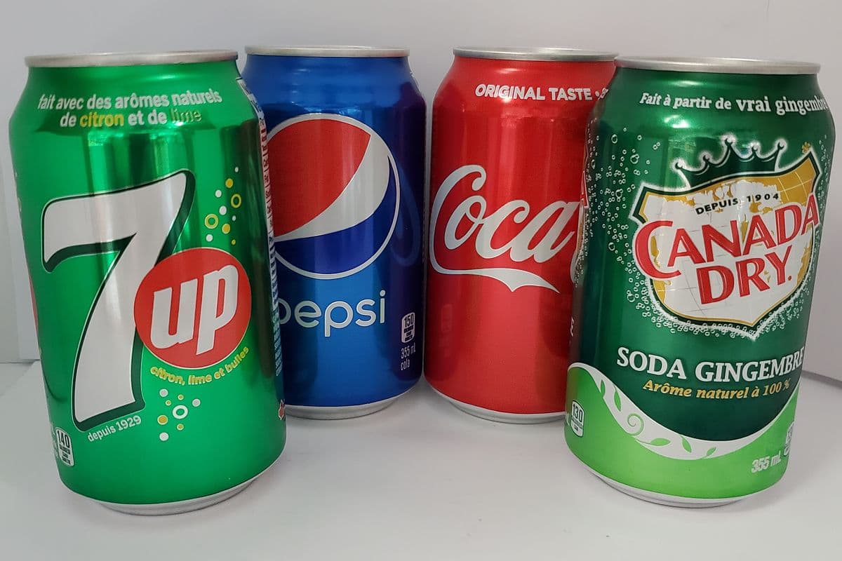 Soft Drinks Can (Assorted Variety) 355ml