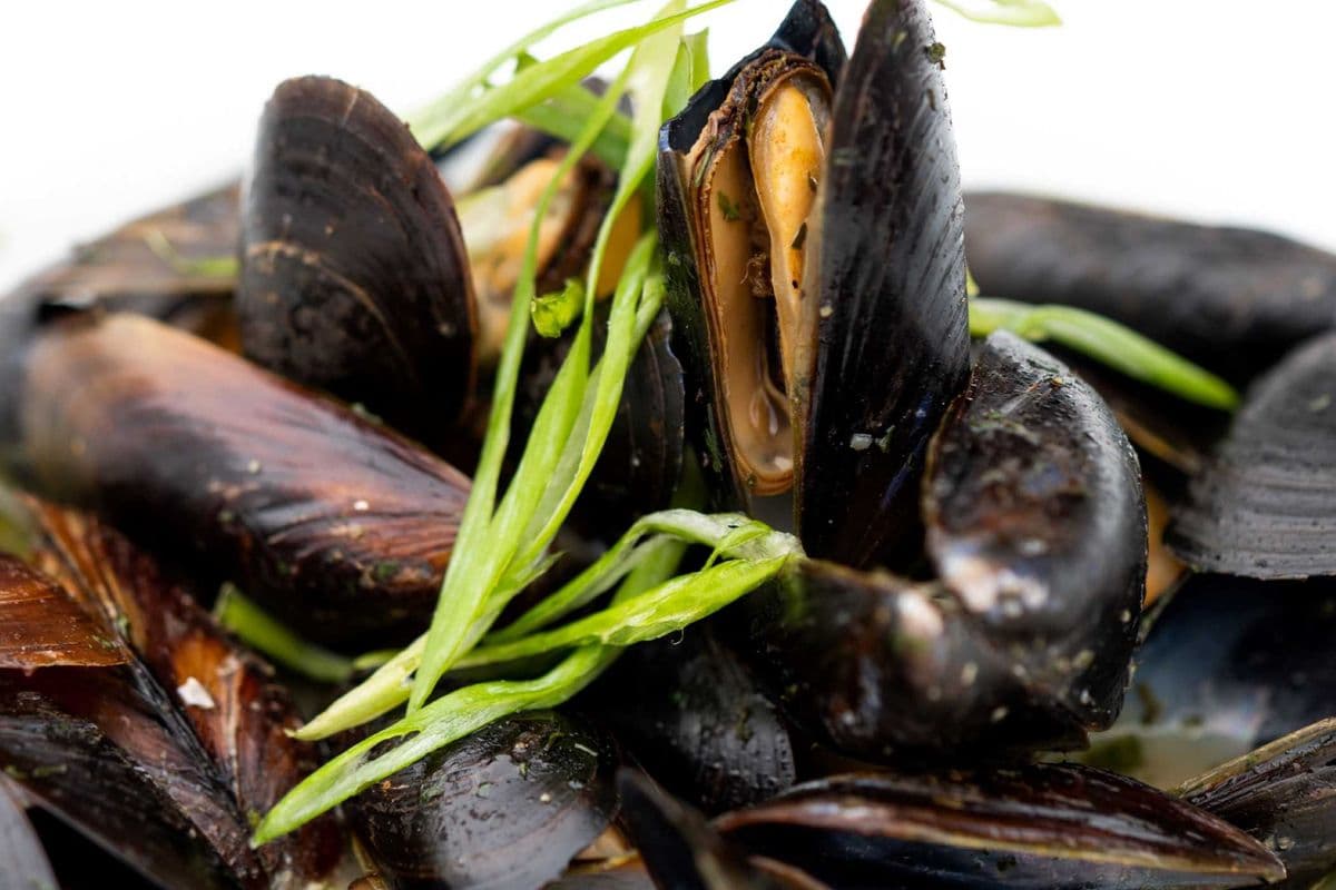 Mussels / Cozze