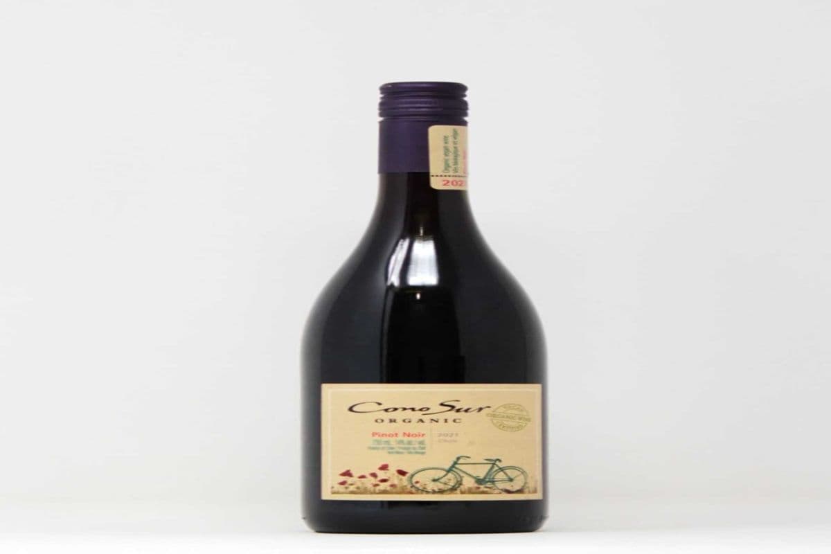 Cono Sur Organic Pinot Noir (CHILE) (1 x 750ML)
