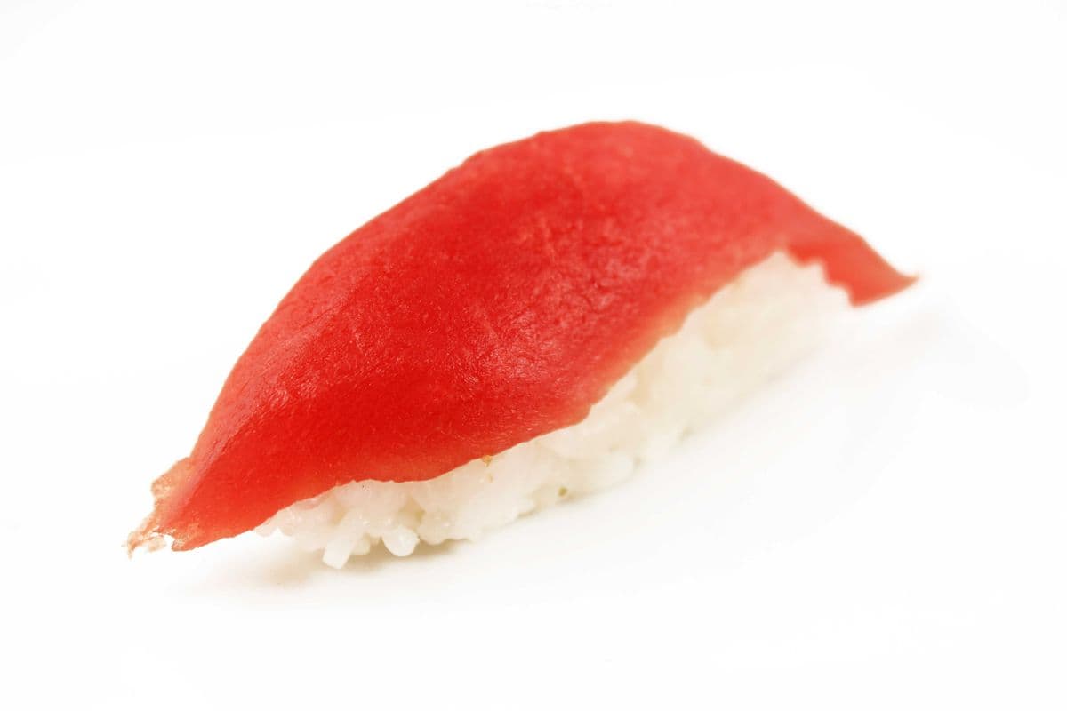 508. Maguro