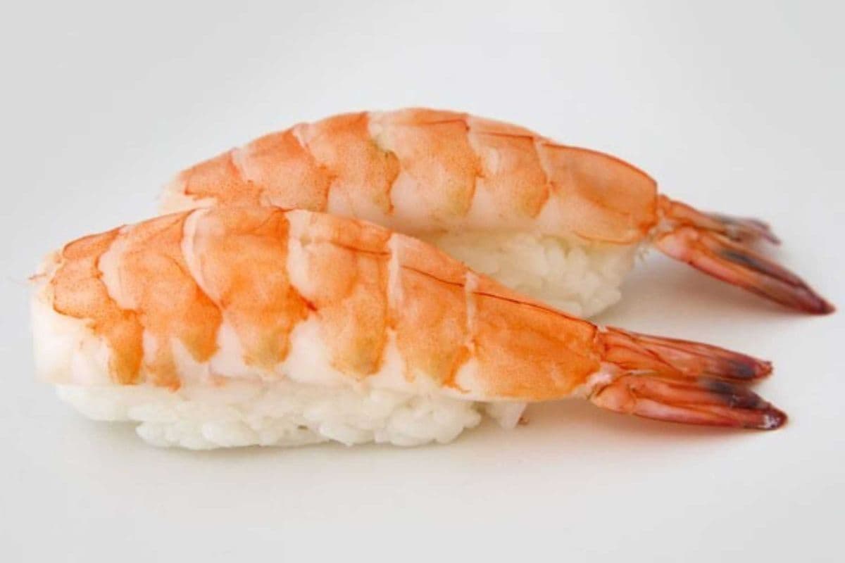 C01. Ebi