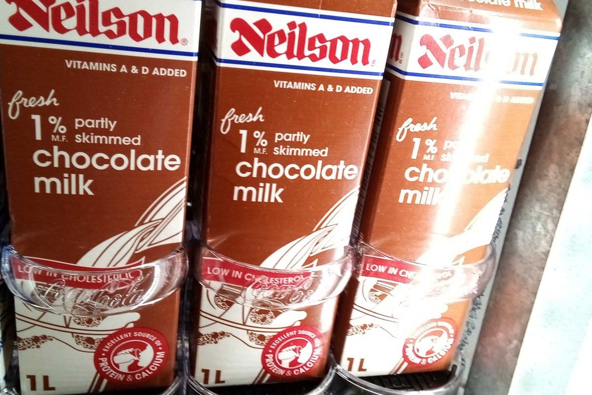 Neilson Chocolate milk 1 L