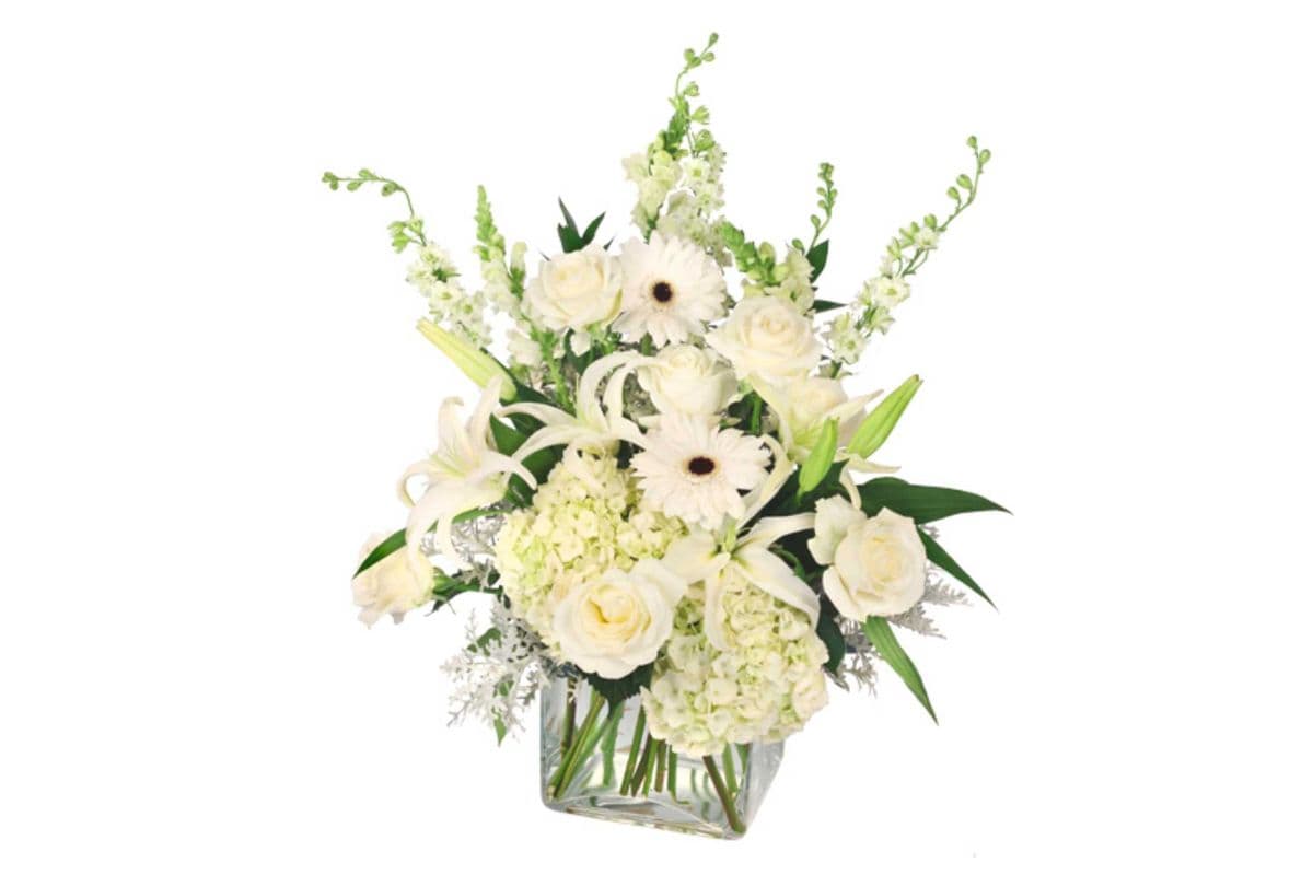 Pure Elegance Vase Arrangement