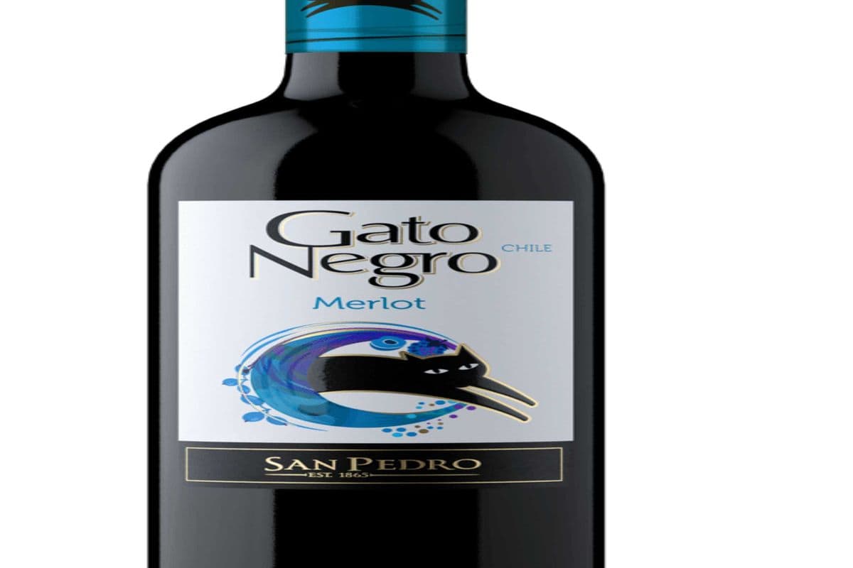 Gato Negro Merlot (750 ml Bottle) (1 x 750 ML )