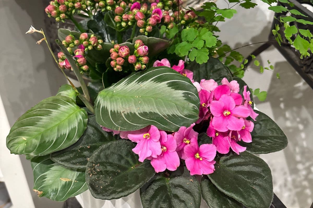 Planter 8 inches