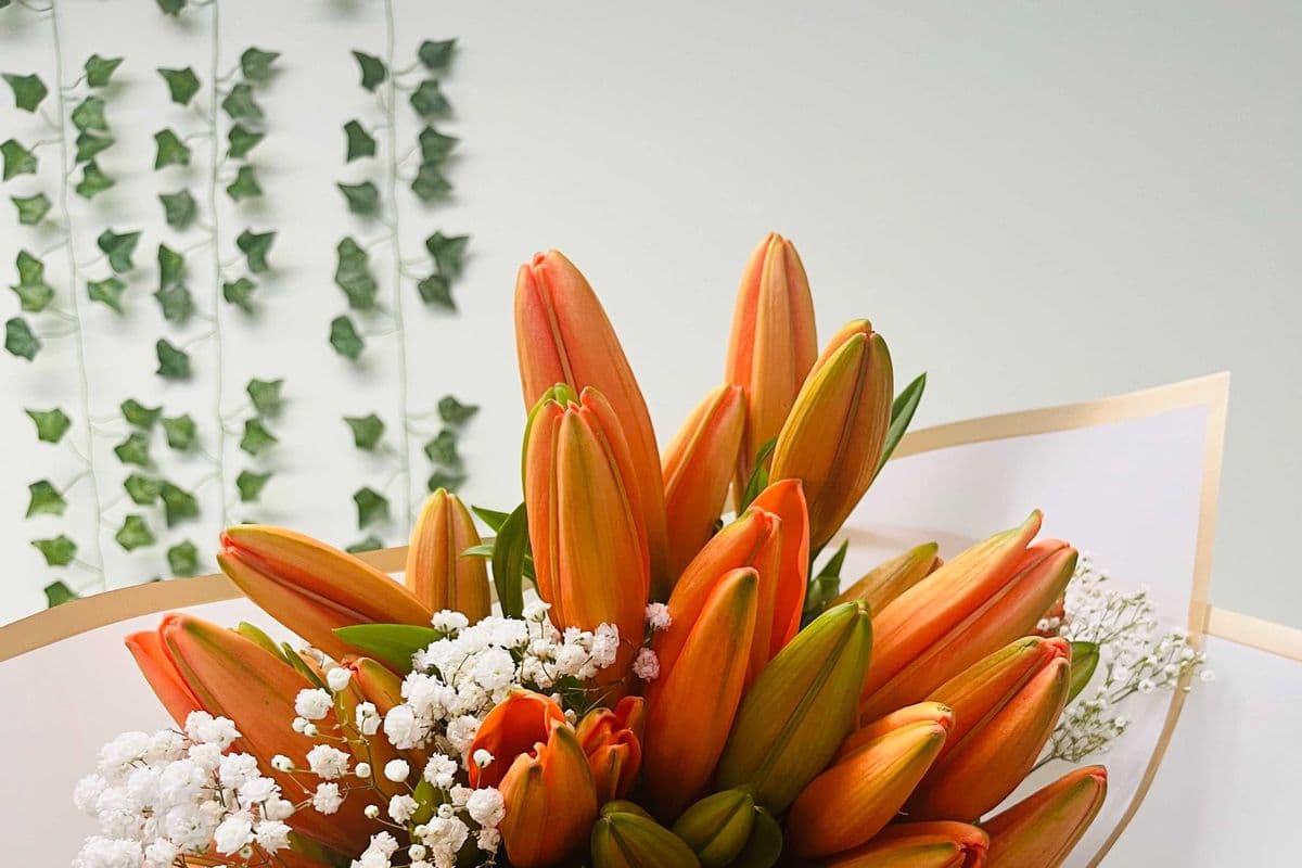 Lillies Bunch (Colours May vary)