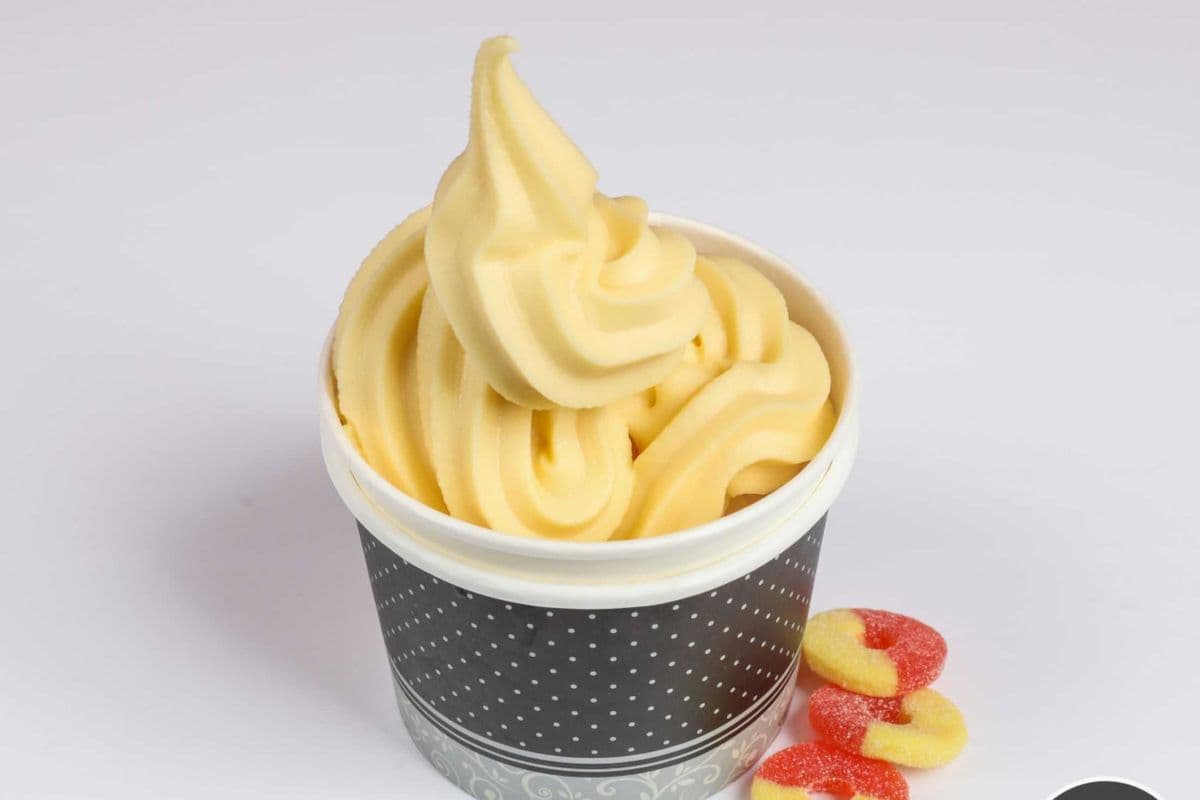 Dairy Free Mango Froyo (250 g)