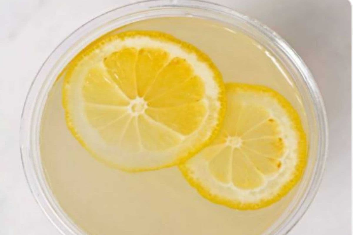 House-Made Lemonade (16oz)