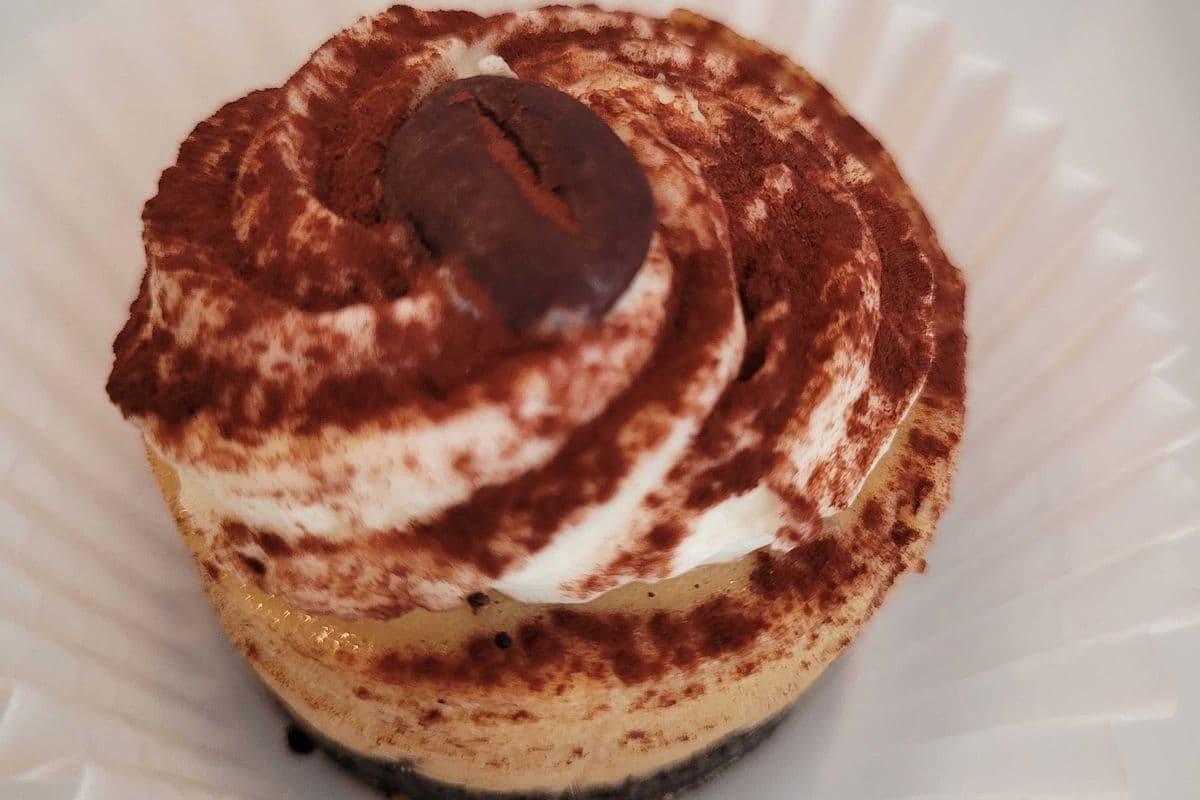 Mini mocha cheesecake