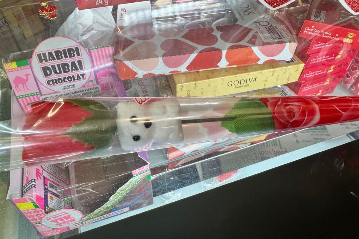 Teddy With Rose