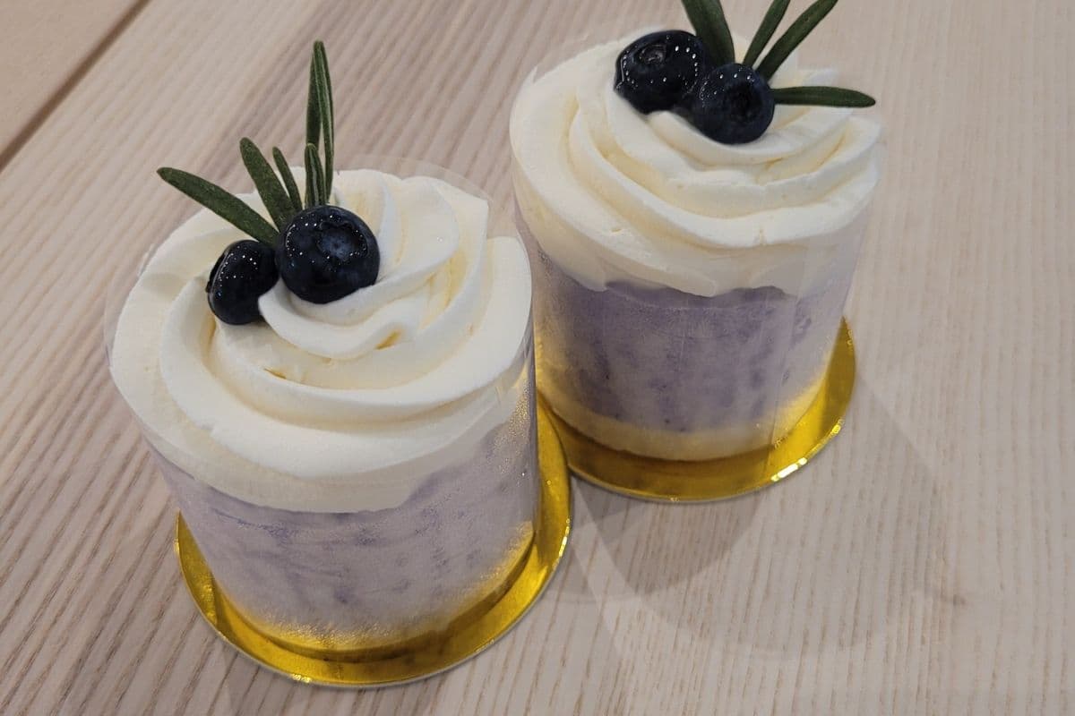 Blueberry Yogurt Mini Cake