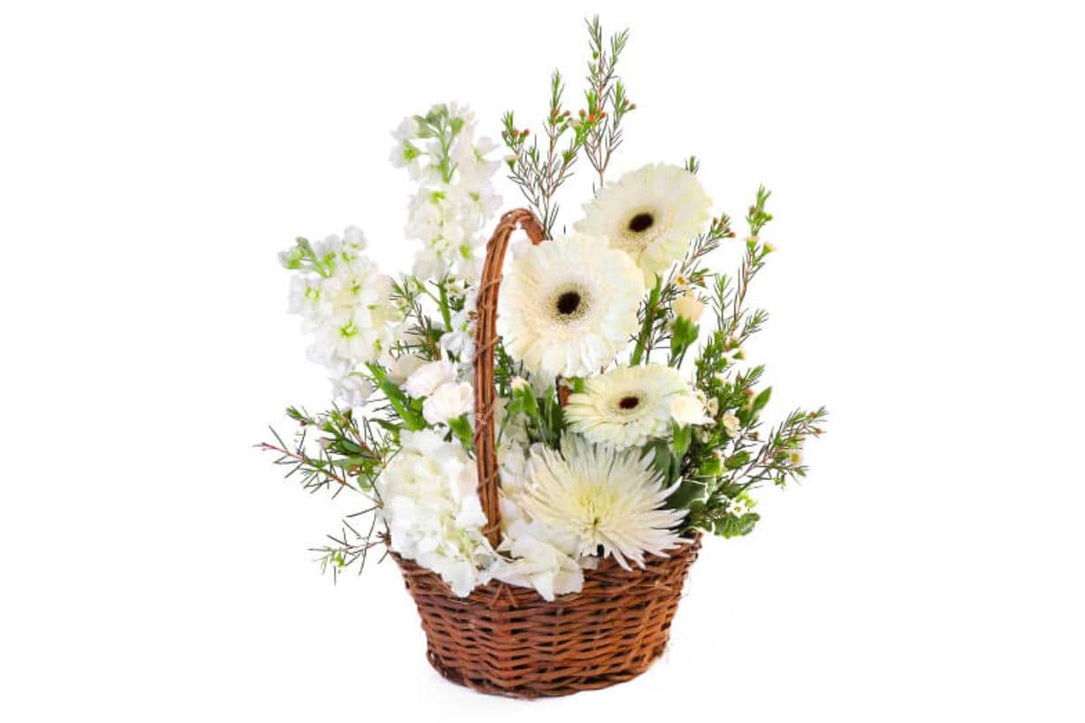 Pristine White Basket Floral Arrangement