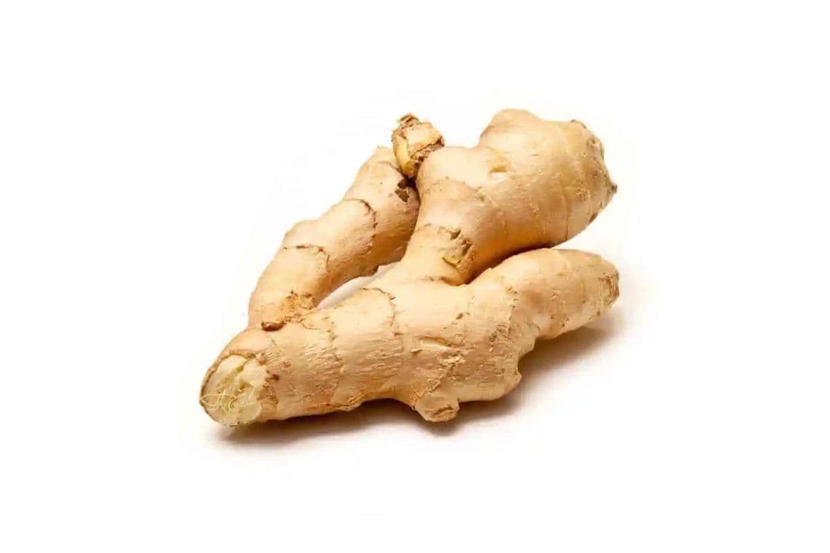 Ginger Root Bulk (100 g)