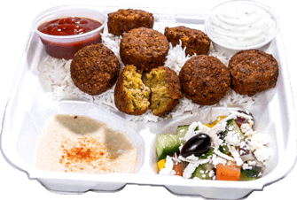 Falafel Platter