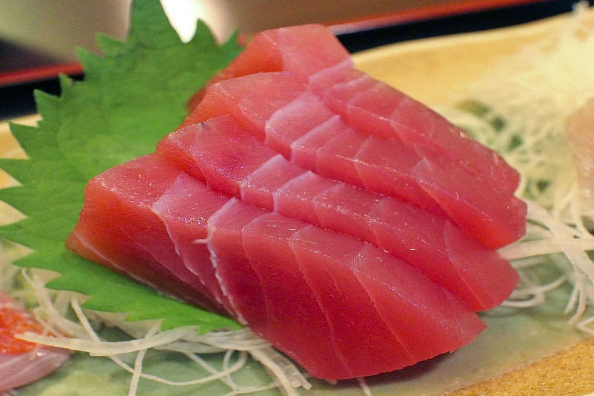 502. Tuna