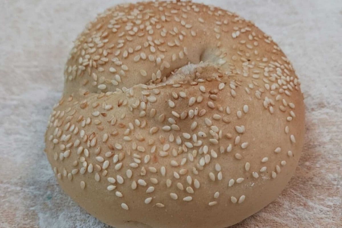 6 Pack Sesame Seed Bagels