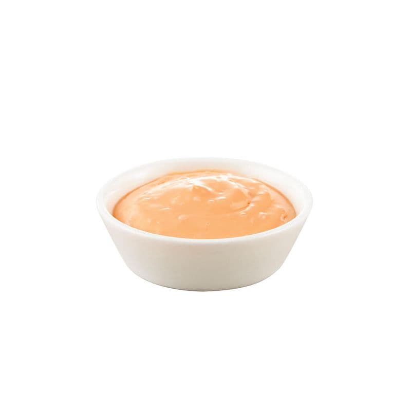 Mayo légère épicée / Spicy Light Mayo