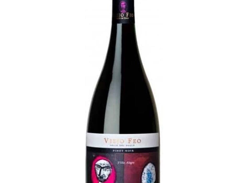 Viejo Feo Pinot Noir, Vinas Tinajas del Maule, 750ml
