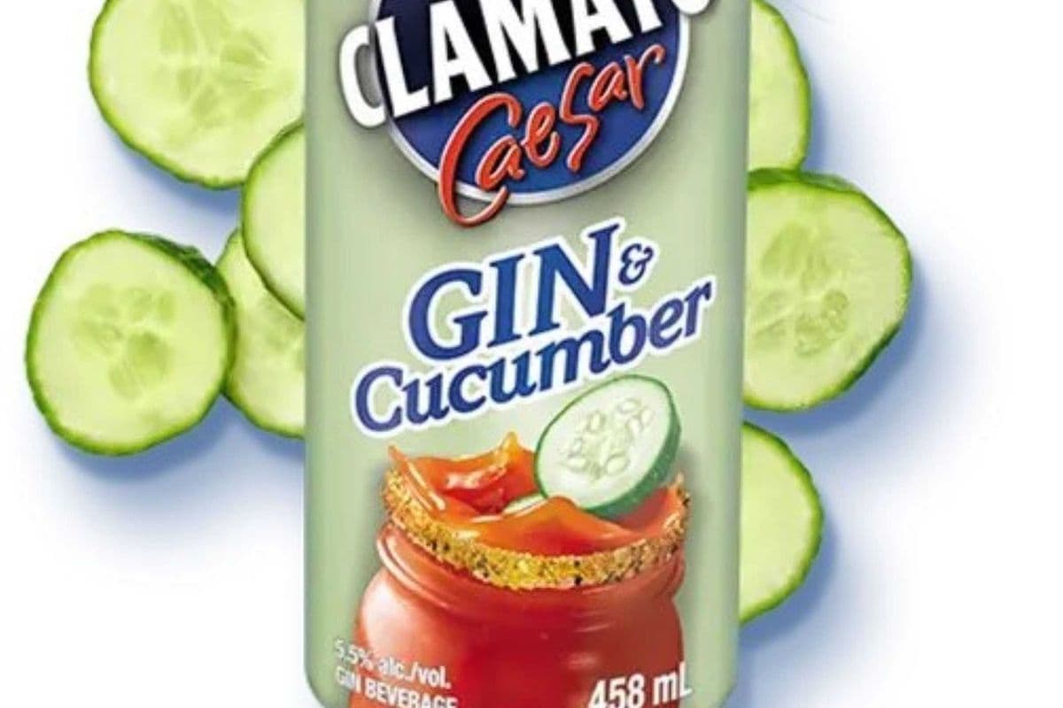 Mott's Clamato Cucumber Gin Caesar (458ml) (1 x 458ML CAN)