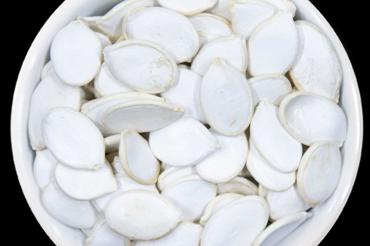 Pumpkin Seeds, Chubby, Lightly Salted (1 lb)