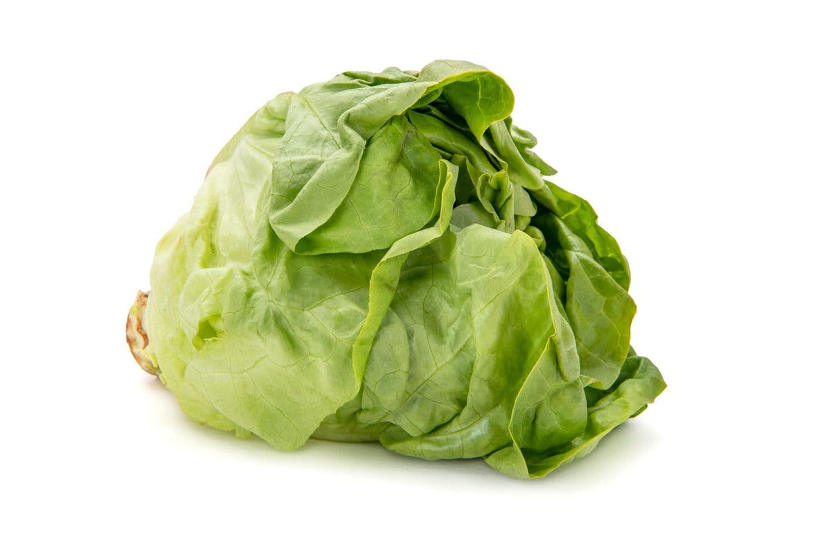 Iceberg Lettuce (Each)