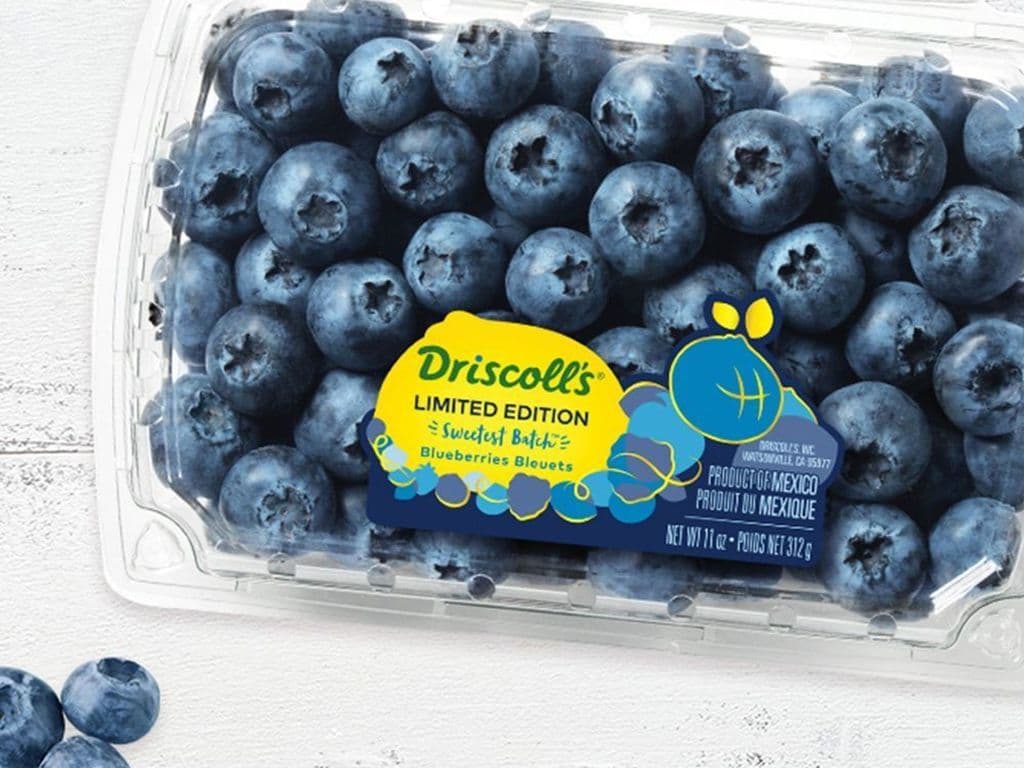 (TOP SELLER!) SWEETEST BATCH BLUEBERRIES 11 OZ